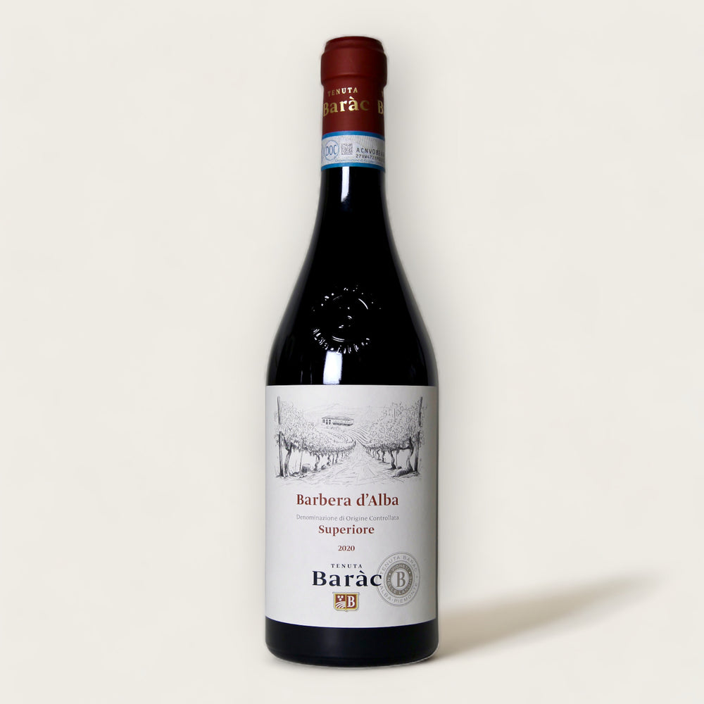 Barbera d Alba Superiore DOC - 2020