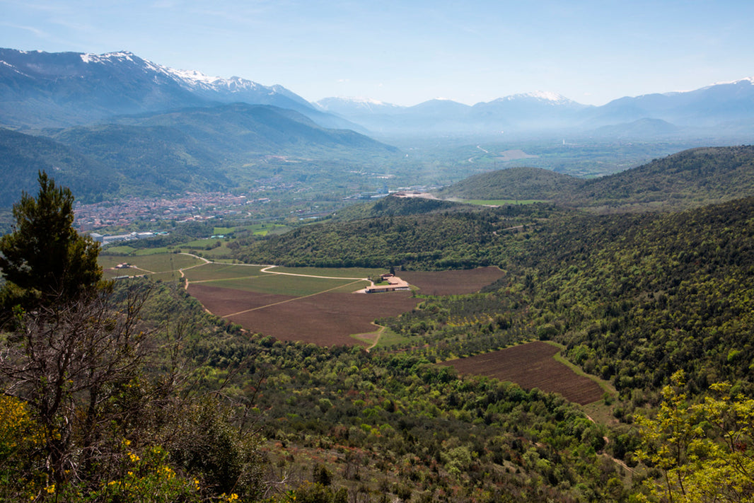 image in image with text