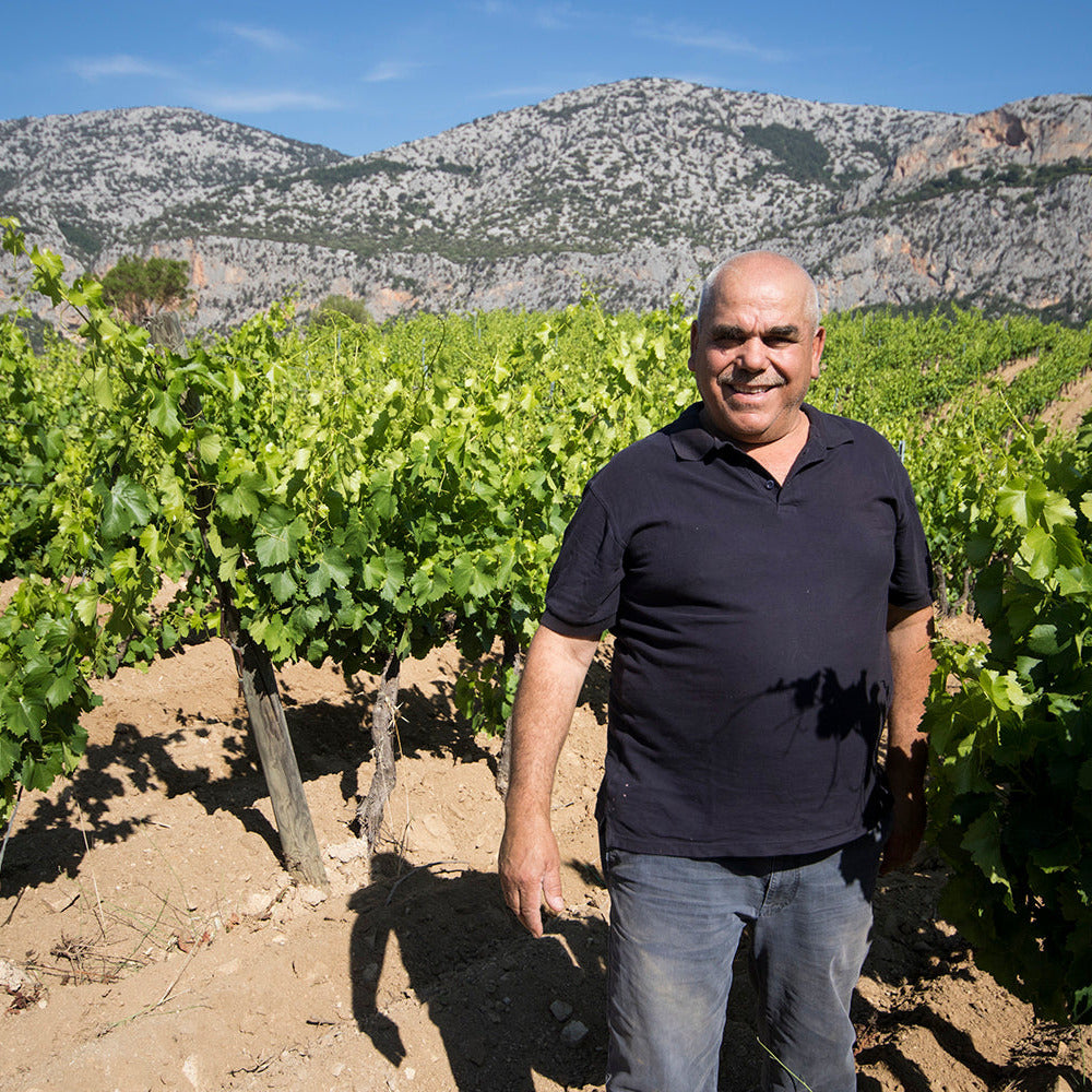 image in image with text