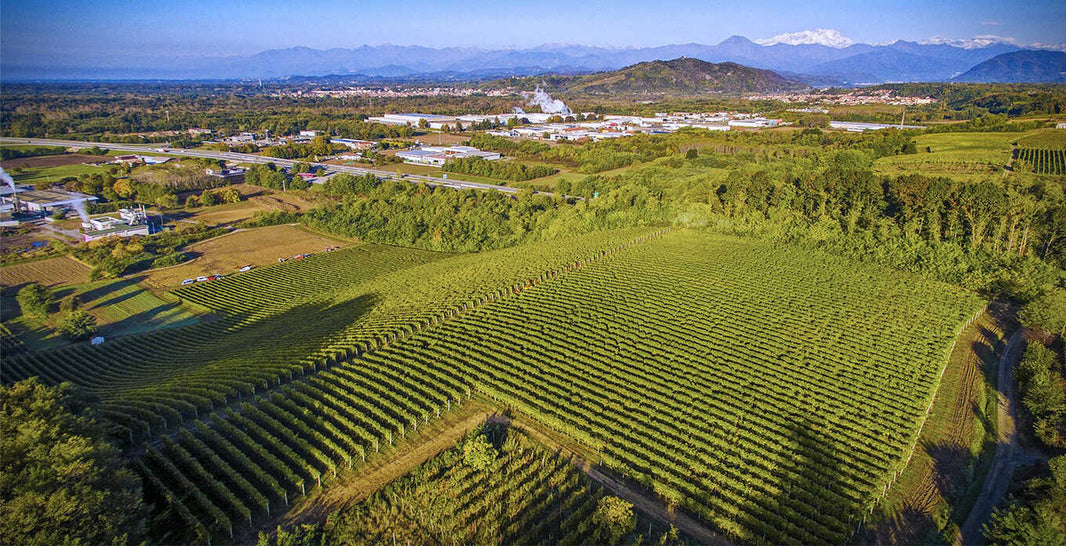 image in image with text