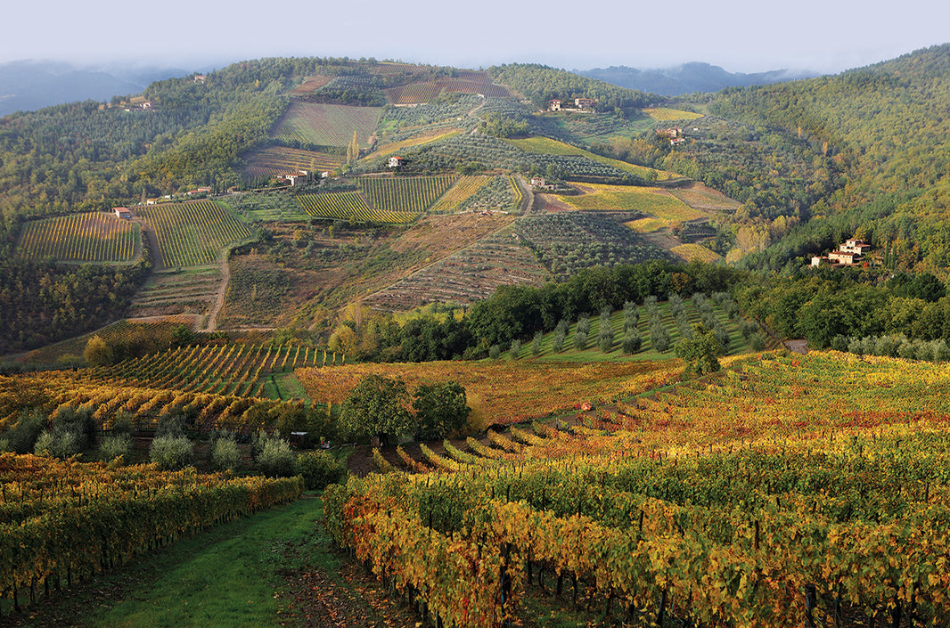 image in image with text