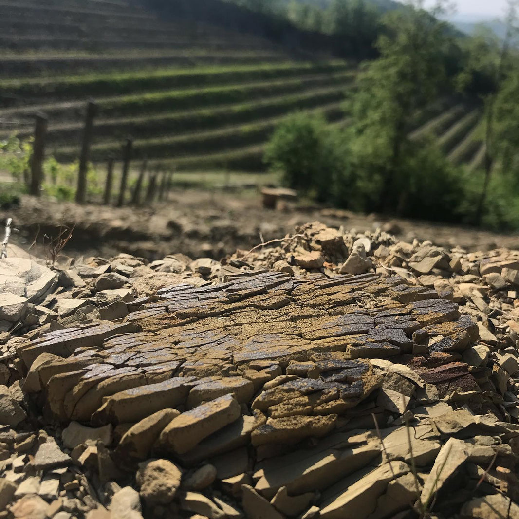 image in image with text