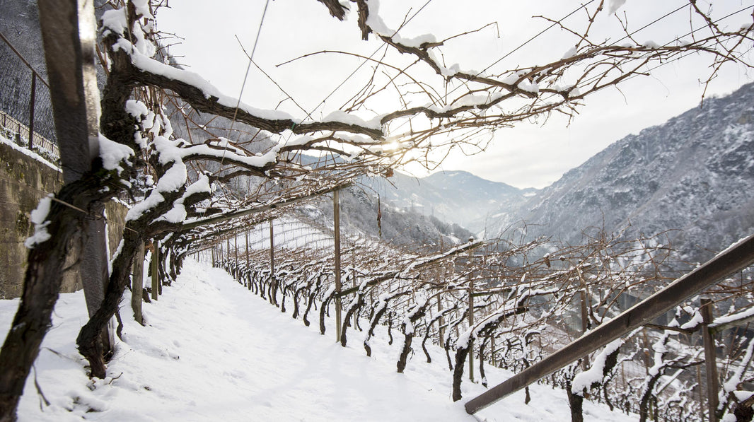 image in image with text