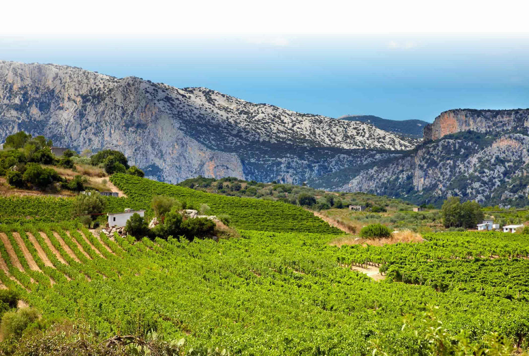 image in image with text