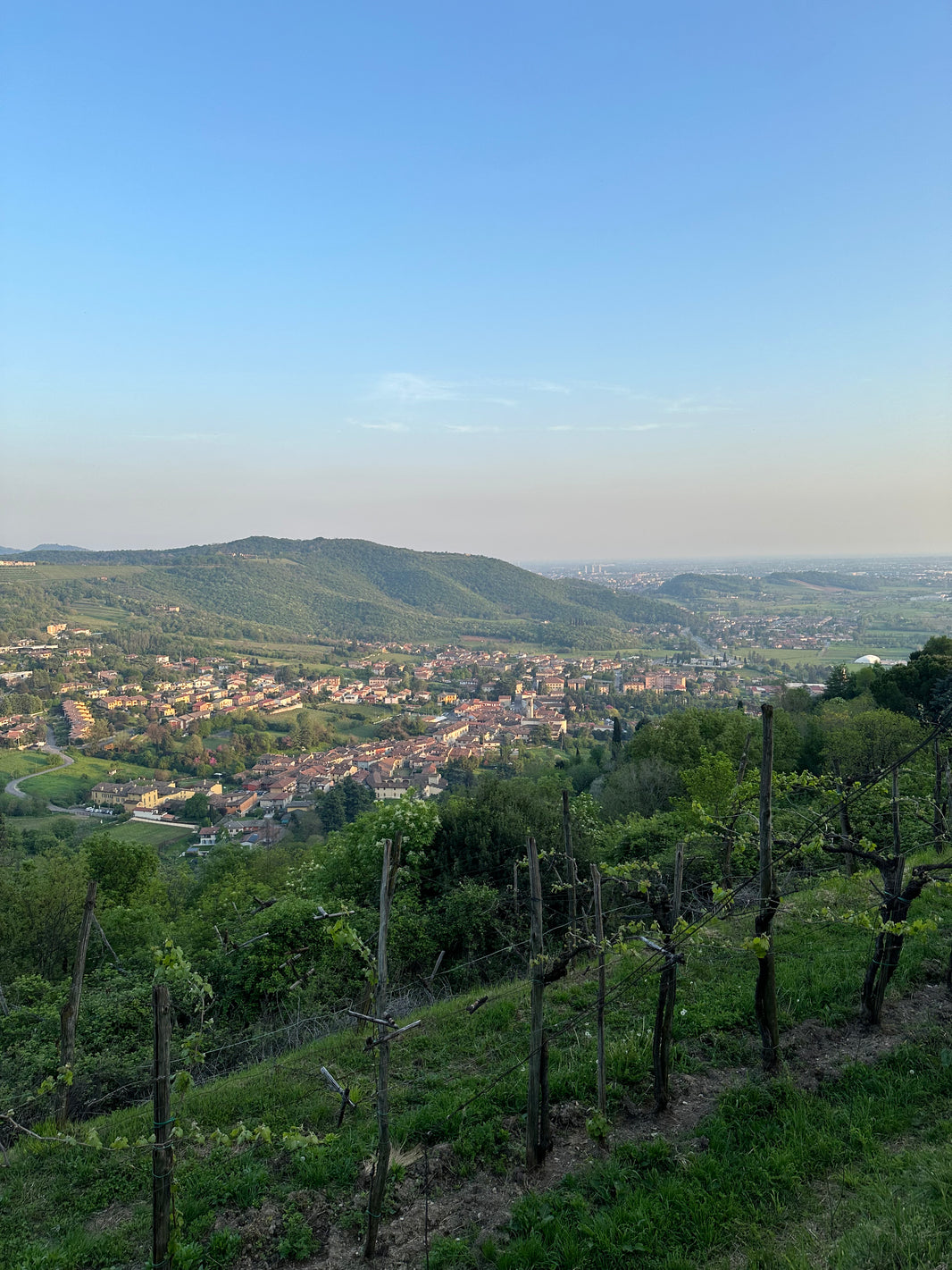 image in image with text