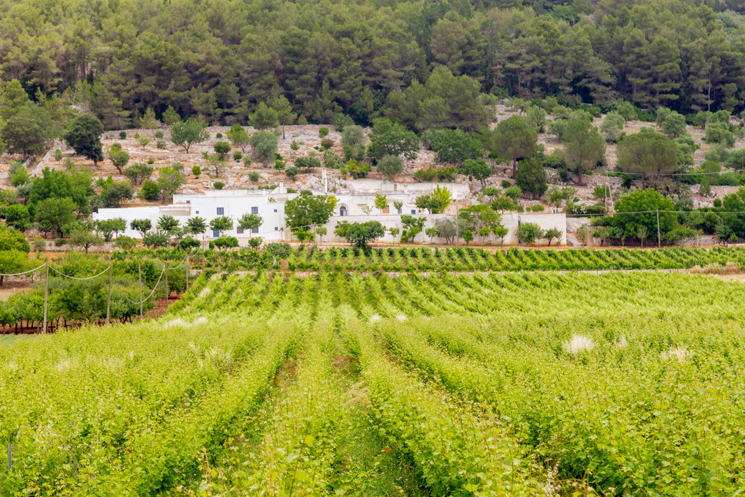 image in image with text