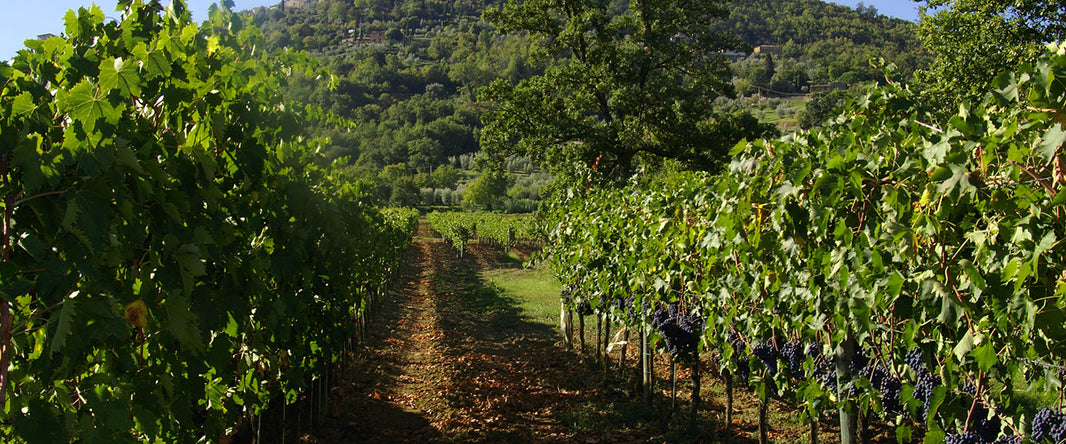 image in image with text