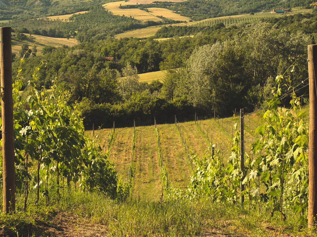 image in image with text