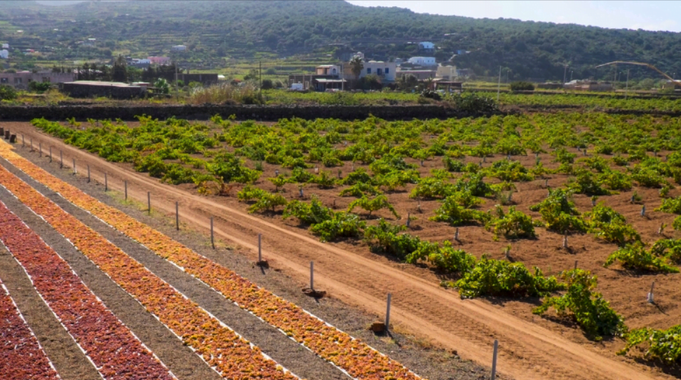 image in image with text