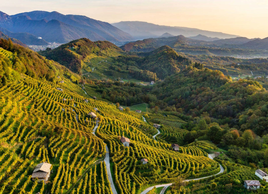 image in image with text