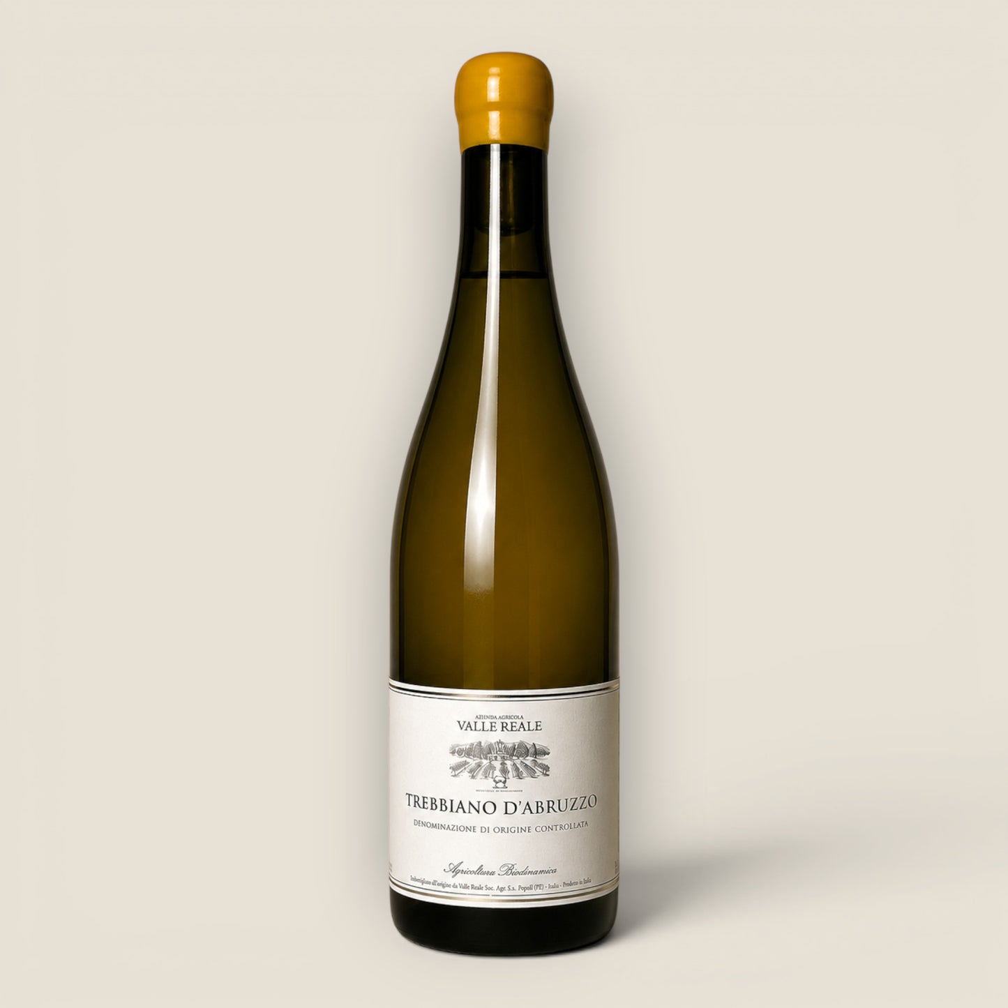 2024 Valle Reale – Trebbiano d’Abruzzo – DOC